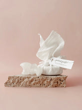 Load image into Gallery viewer, Face Bundle